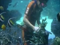 サンシャイン水族館 偽サンゴの植替え＆撤収？